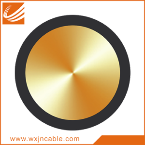 IEC 06 RV 300/500V Single-core Non-sheathed Flexible Cable