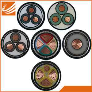 Power Cable