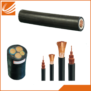 Rubber Insulated Cable 450/750V