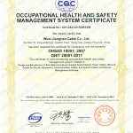 Certificate ISO18001 Of CQC